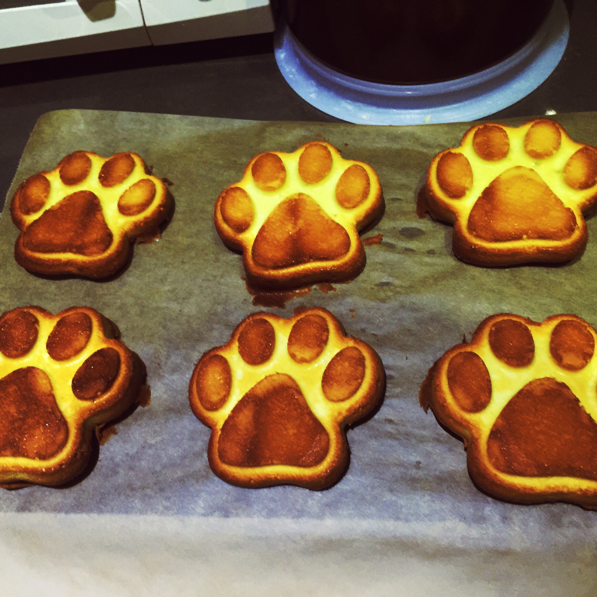 小岛老师的抹茶磅蛋糕