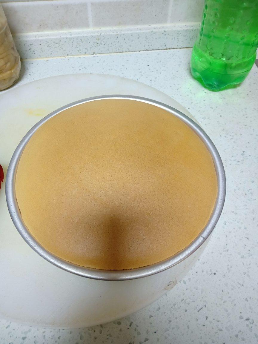 八寸原味戚风