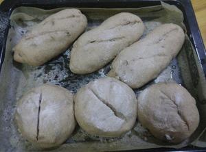 黑麦核桃葡萄干面包的做法 步骤4