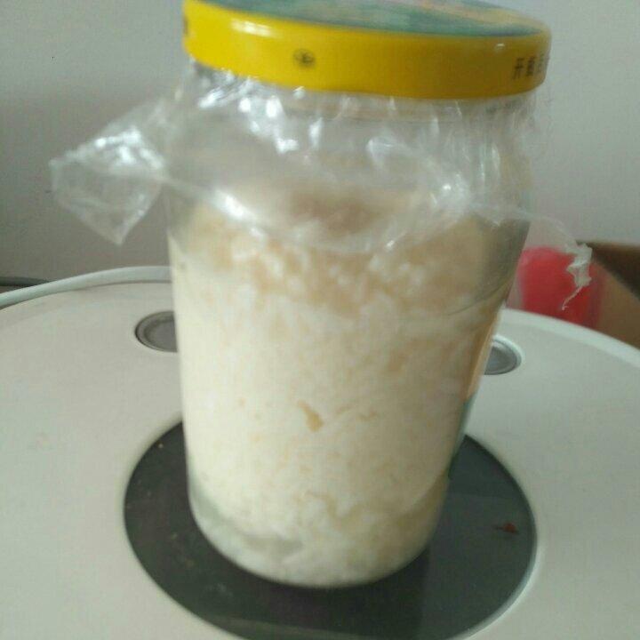 如何自制米酒（酒酿）