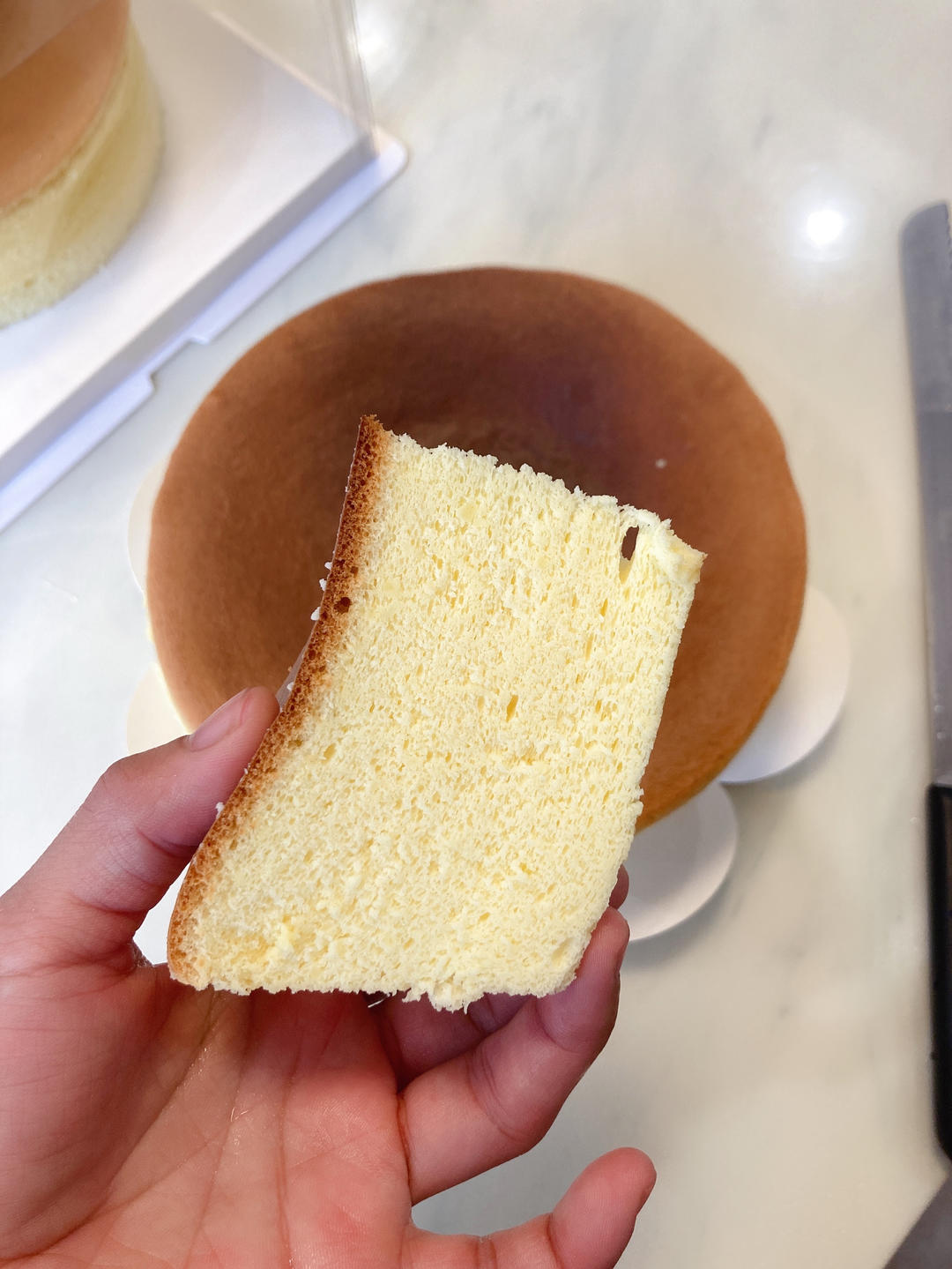 轻乳酪芝士蛋糕6寸#皮黑森林#