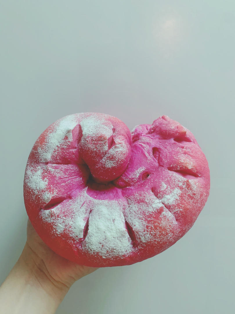 红芯火龙果软欧包视频教程