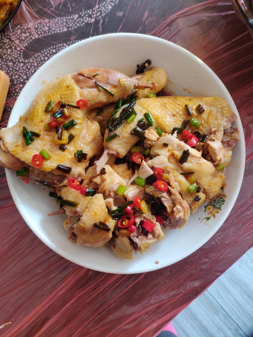 葱油鸡（姜葱鸡）简单做法全，详细到没下过厨都会做