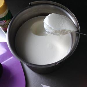 自制酸奶—奶粉版的做法 步骤6