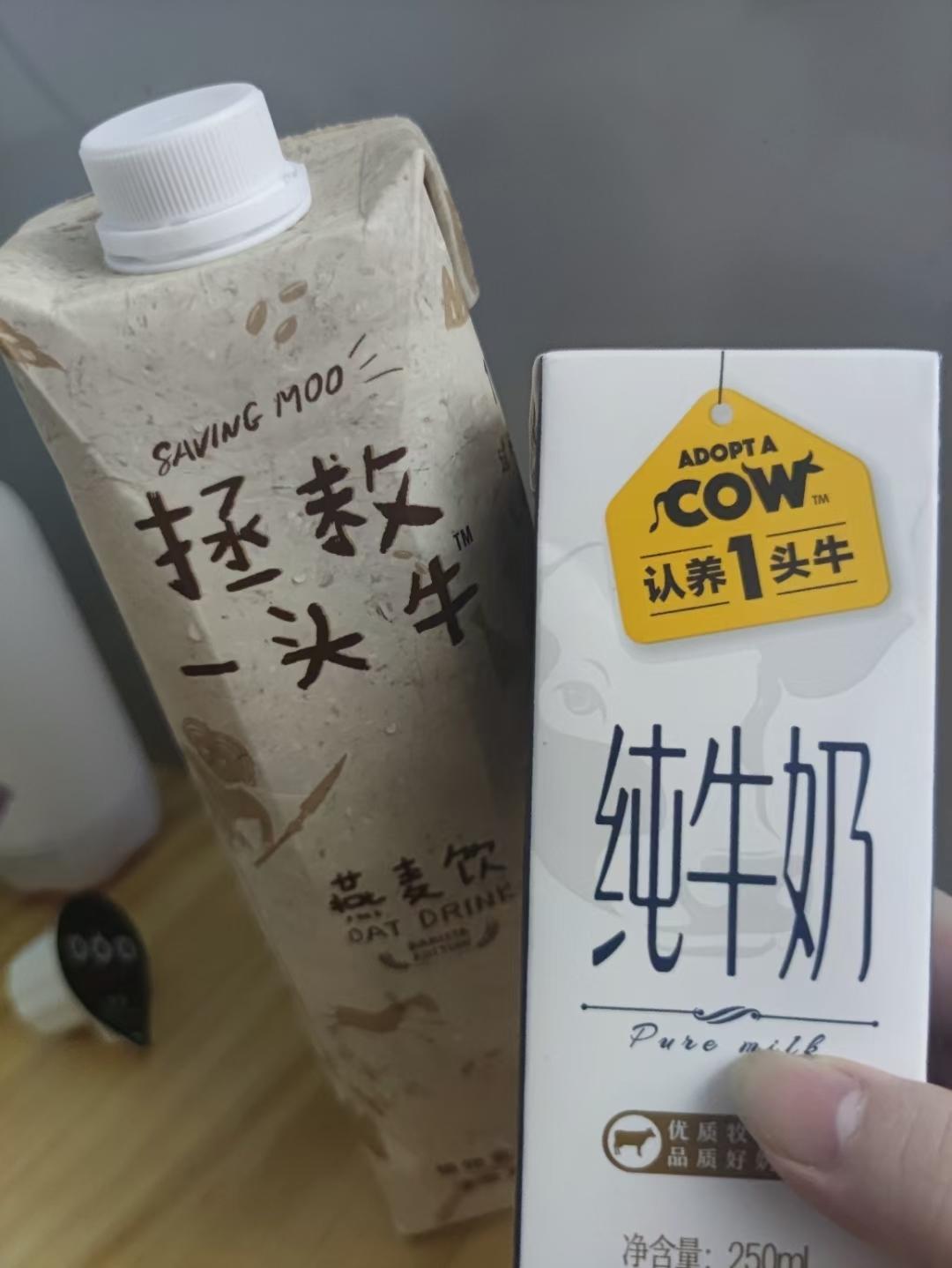 自制茶饮大赏