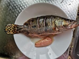 红烧桂鱼的做法 步骤1