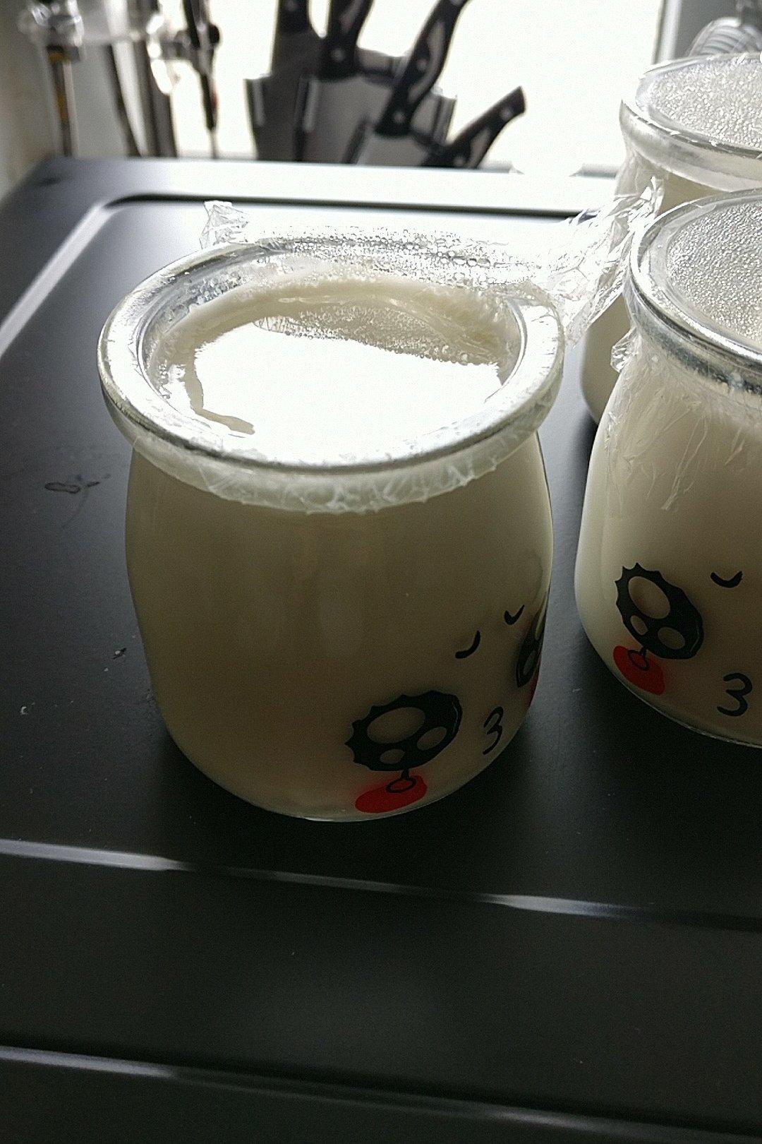 馋猫觅做的烤箱自制酸奶