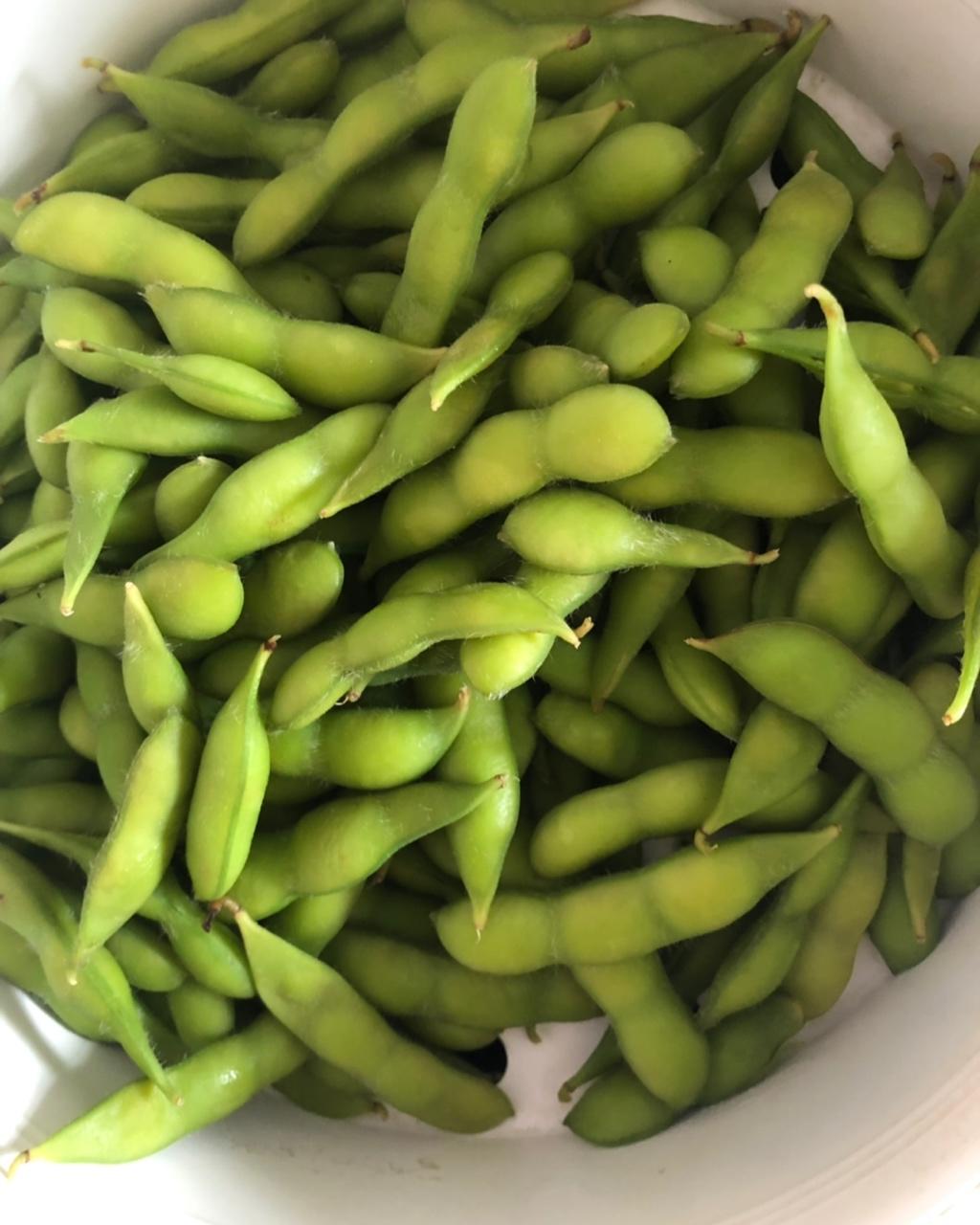 四季都能吃到的日式煮毛豆