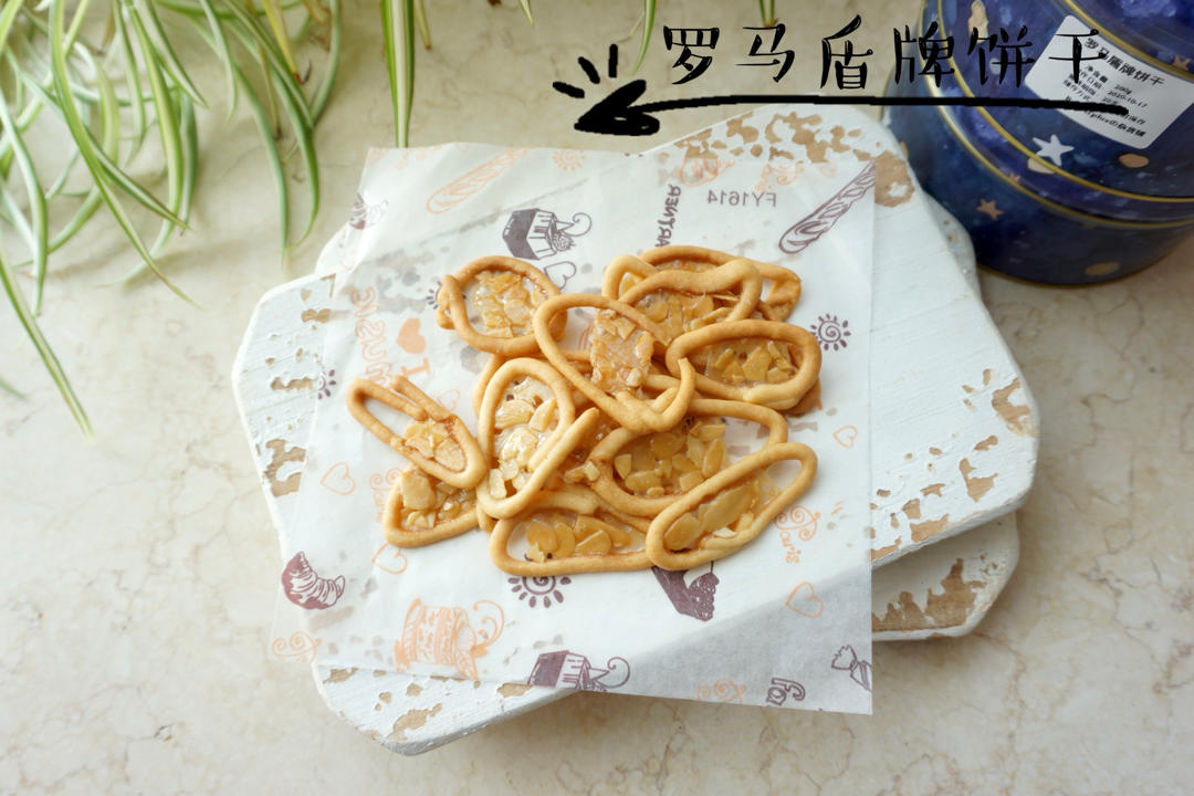 罗马盾牌