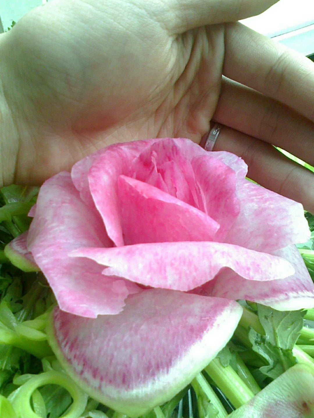 冬瓜雕花