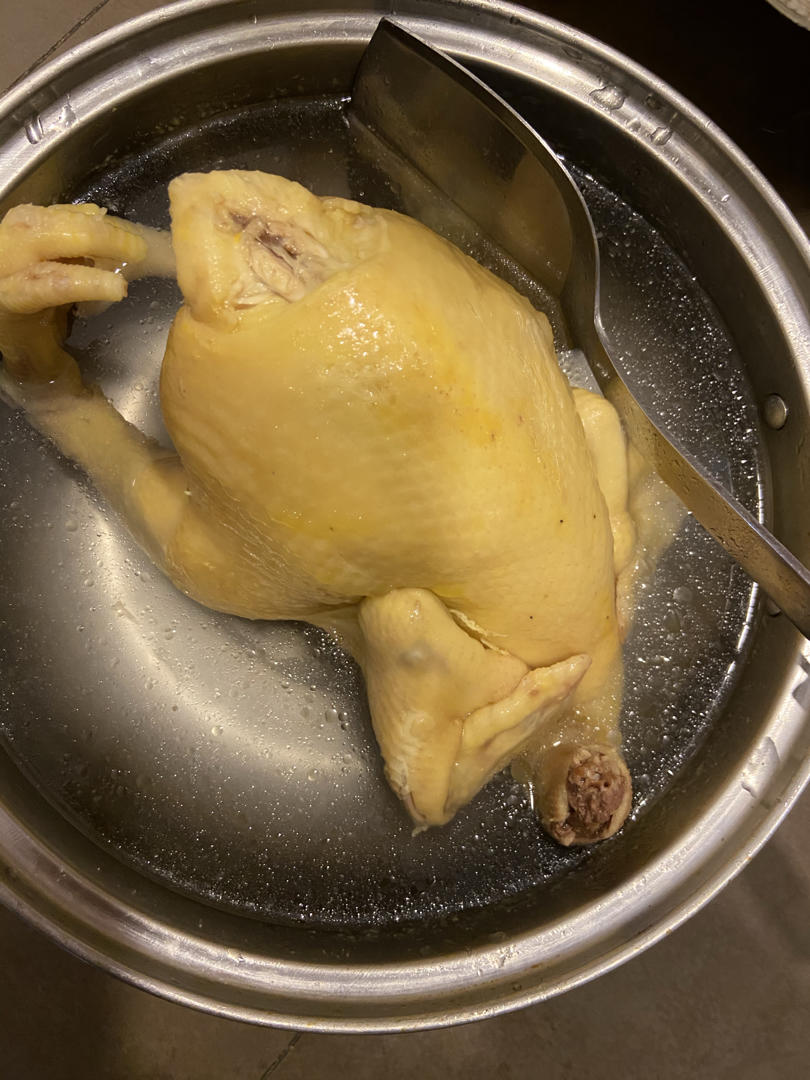 酒楼粤菜师傅传授的【白切鸡】 泡鸡秘诀保证肉质嫩滑