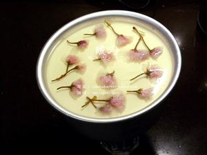 石榴夫妇的樱花蛋糕——简单易学的浪漫慕斯蛋糕，快来和暖小厨一起做起来吧！的做法 步骤26