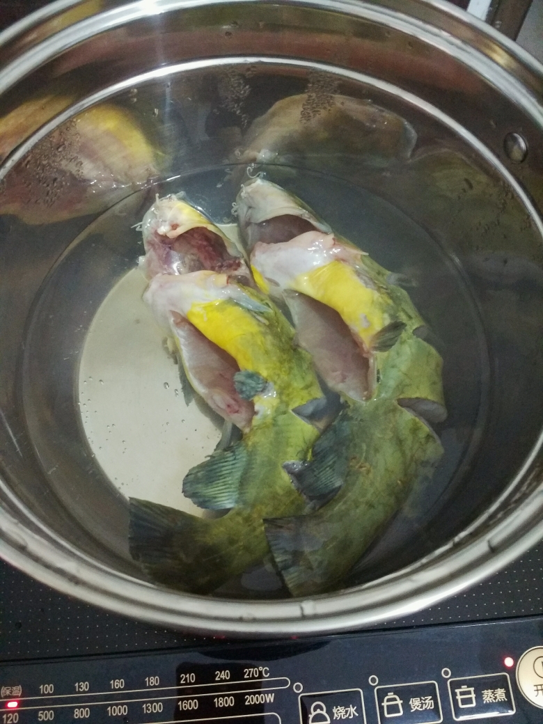 豉汁蒸黄骨鱼的做法 步骤2