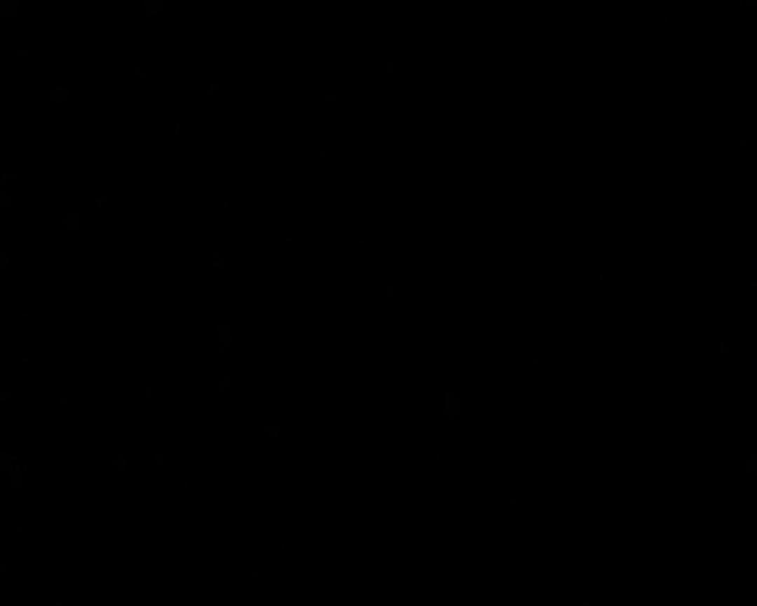 煮冻饺子的方法的做法
