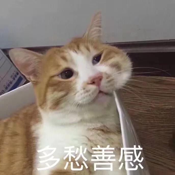 多愁善感猫猫头的厨房