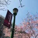 华_bcu3