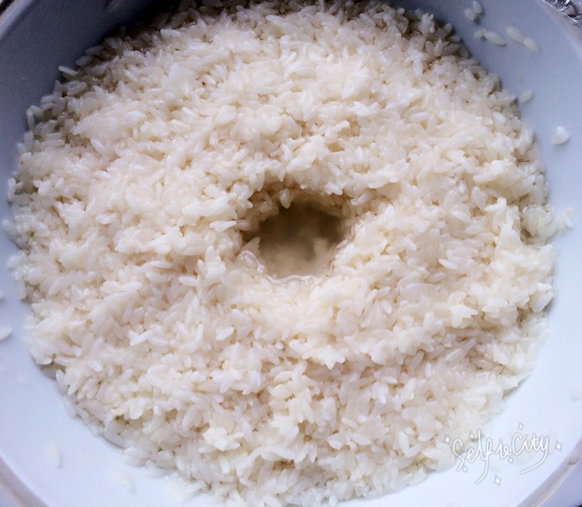 酒酿 (酒酿系列一）