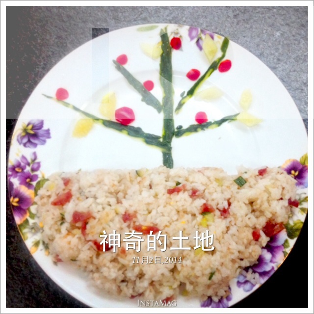 茶茶的创意早餐—神奇的土地