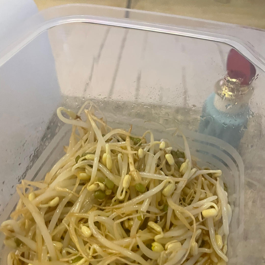 《昨日的美食》之芝麻凉拌韭菜豆芽