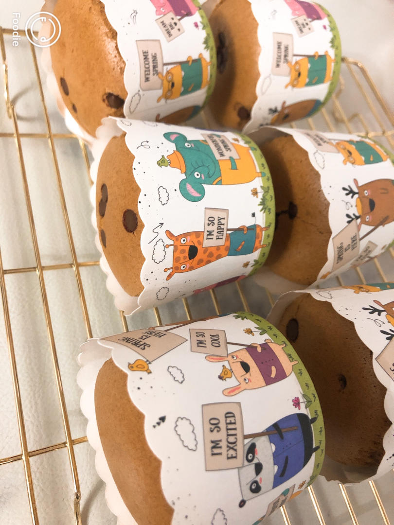 不缩不裂不凹的巧克力杯子蛋糕