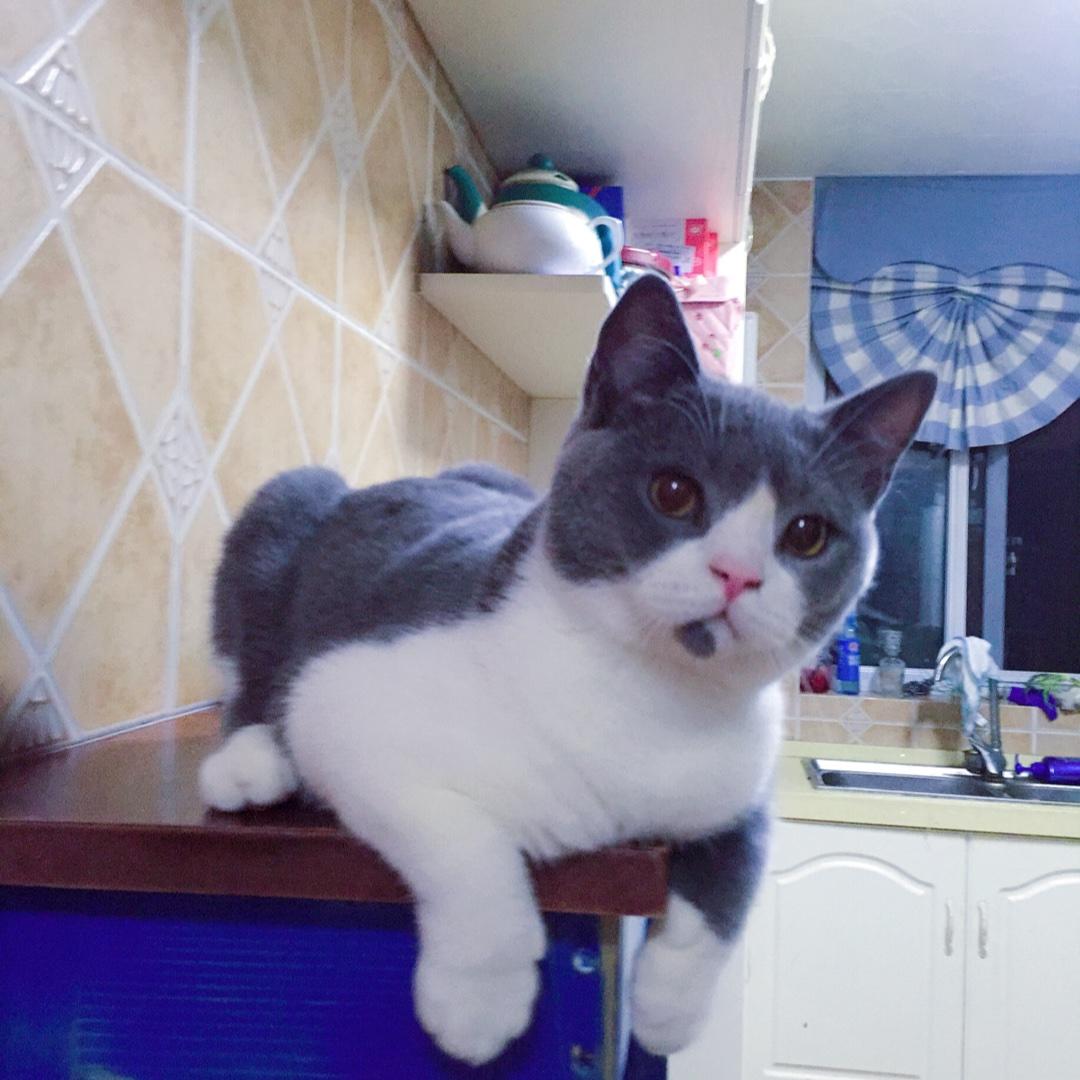 手机用户6326_1bcy