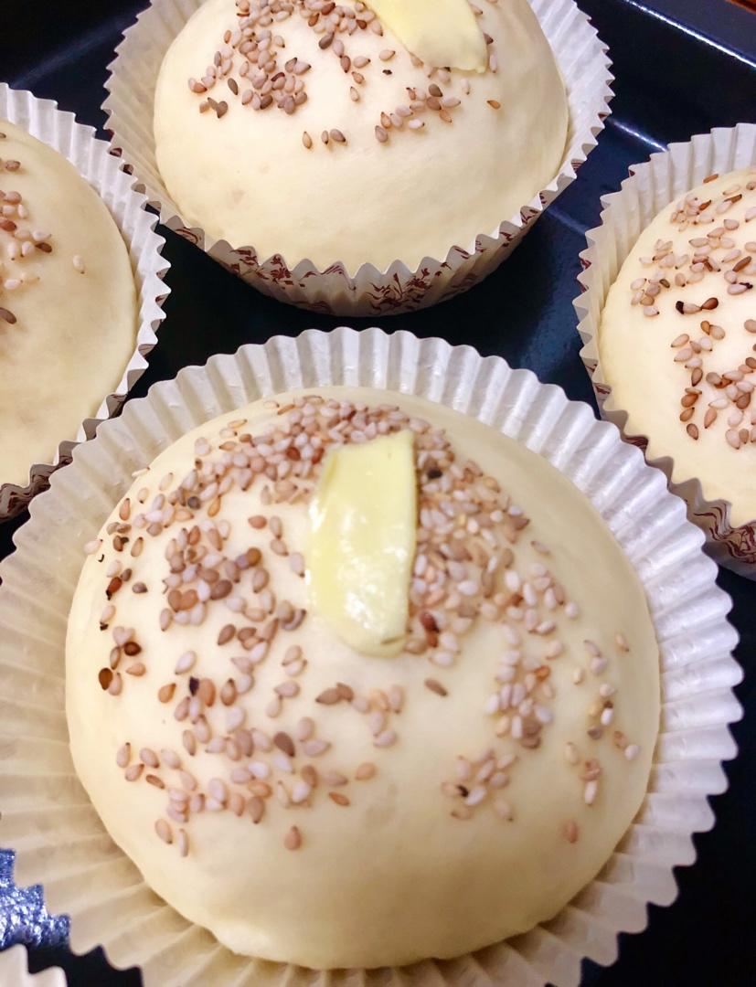 汉堡面包/面坯（波兰种）