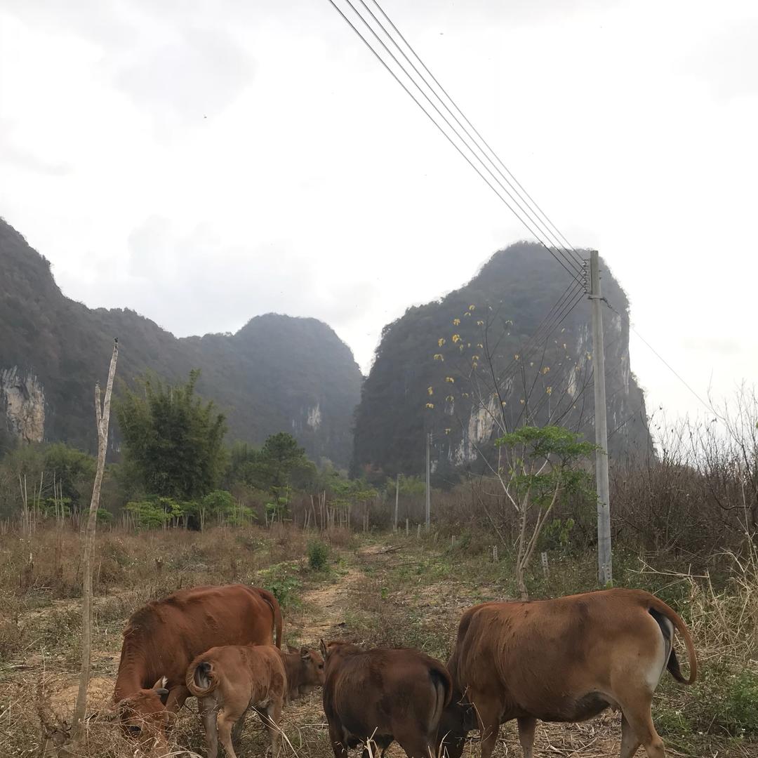 挑食的美食家的厨房