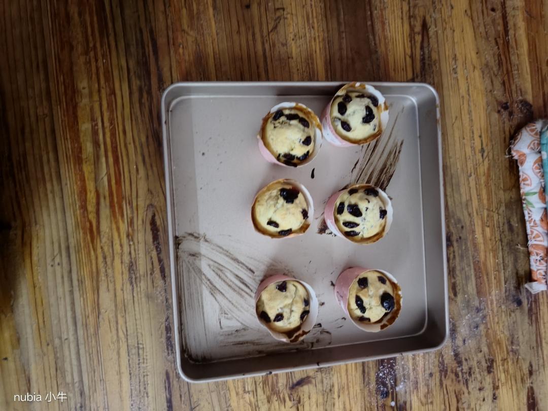 少女心的香蕉蔓越莓玛芬