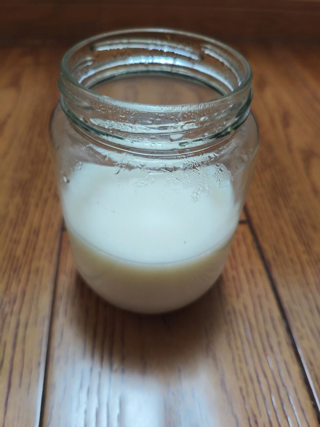 奶冻（奶粉版）