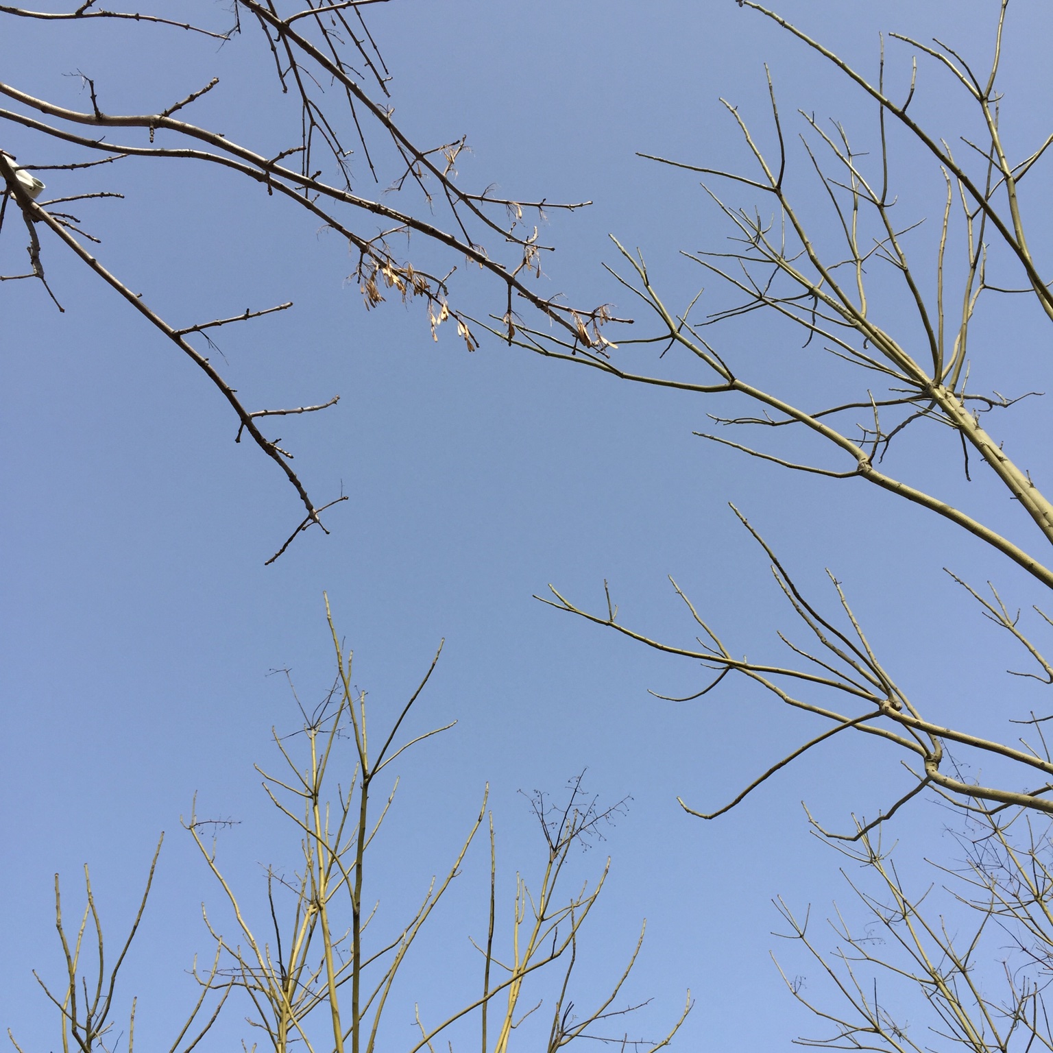 手机用户1352_ebtp