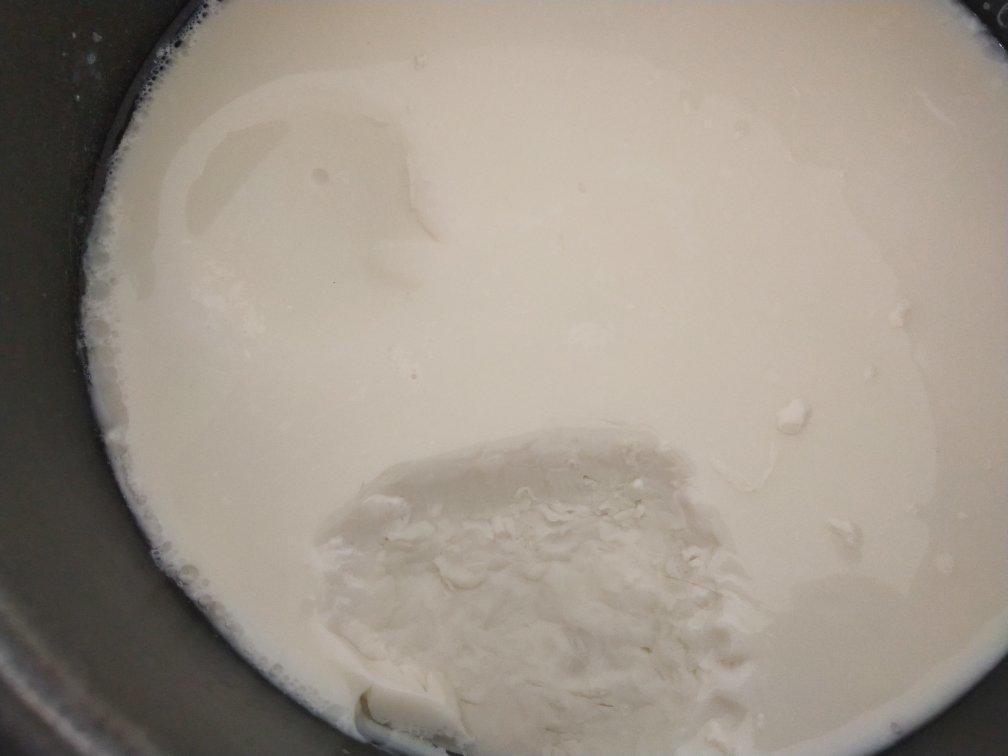 自制豆腐、豆腐脑（超详细）