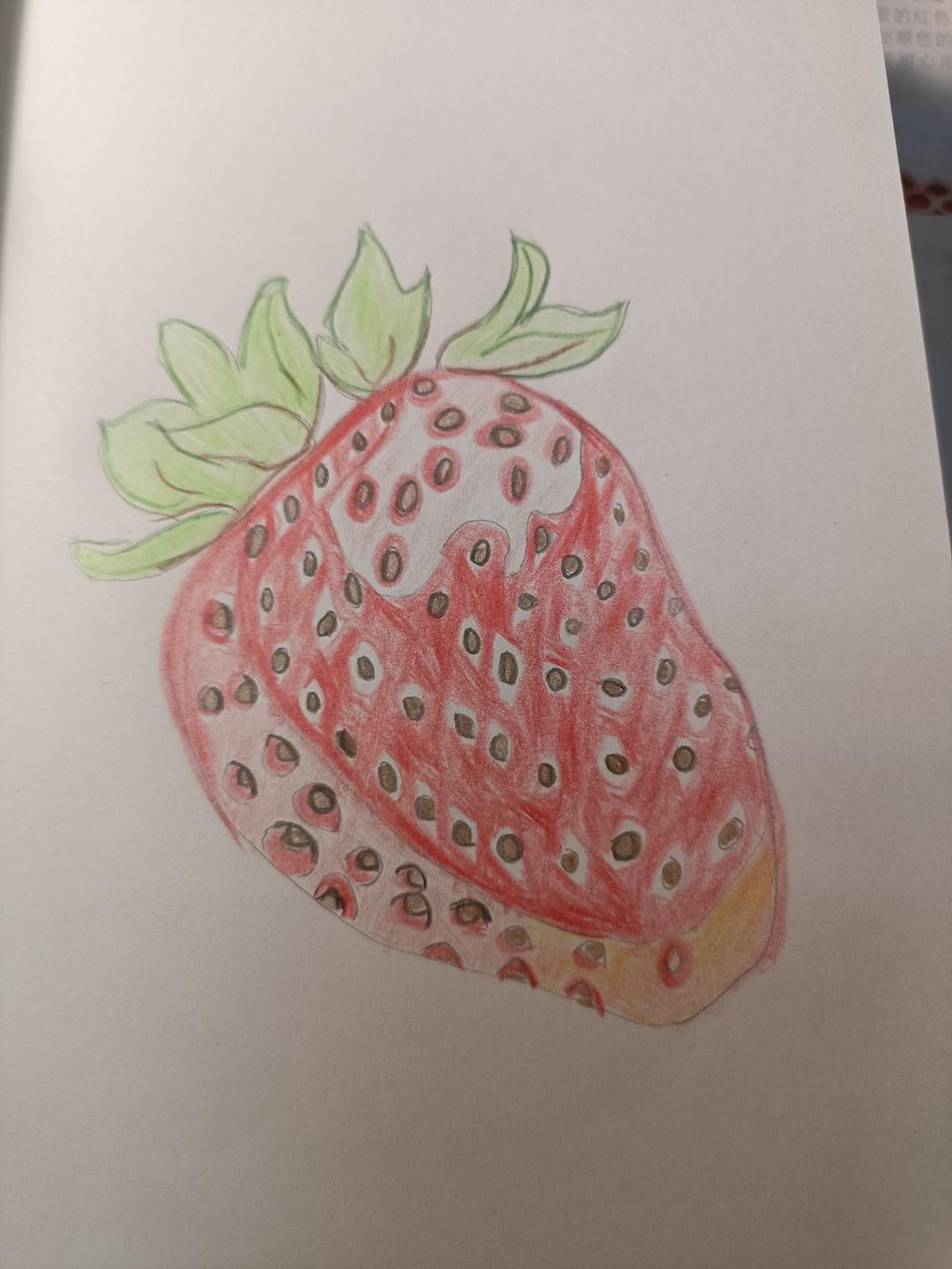学彩铅画画