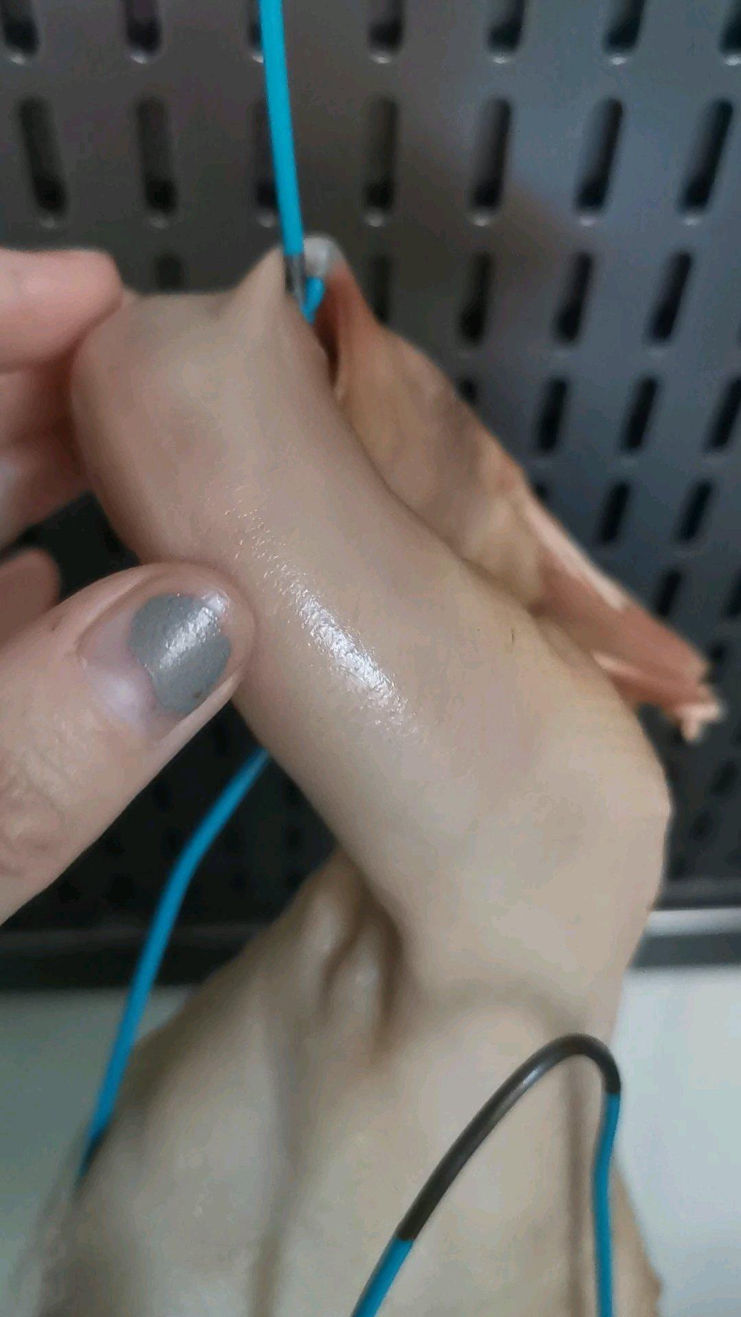 烤箱脆皮北京烤鸭(不需要吹气