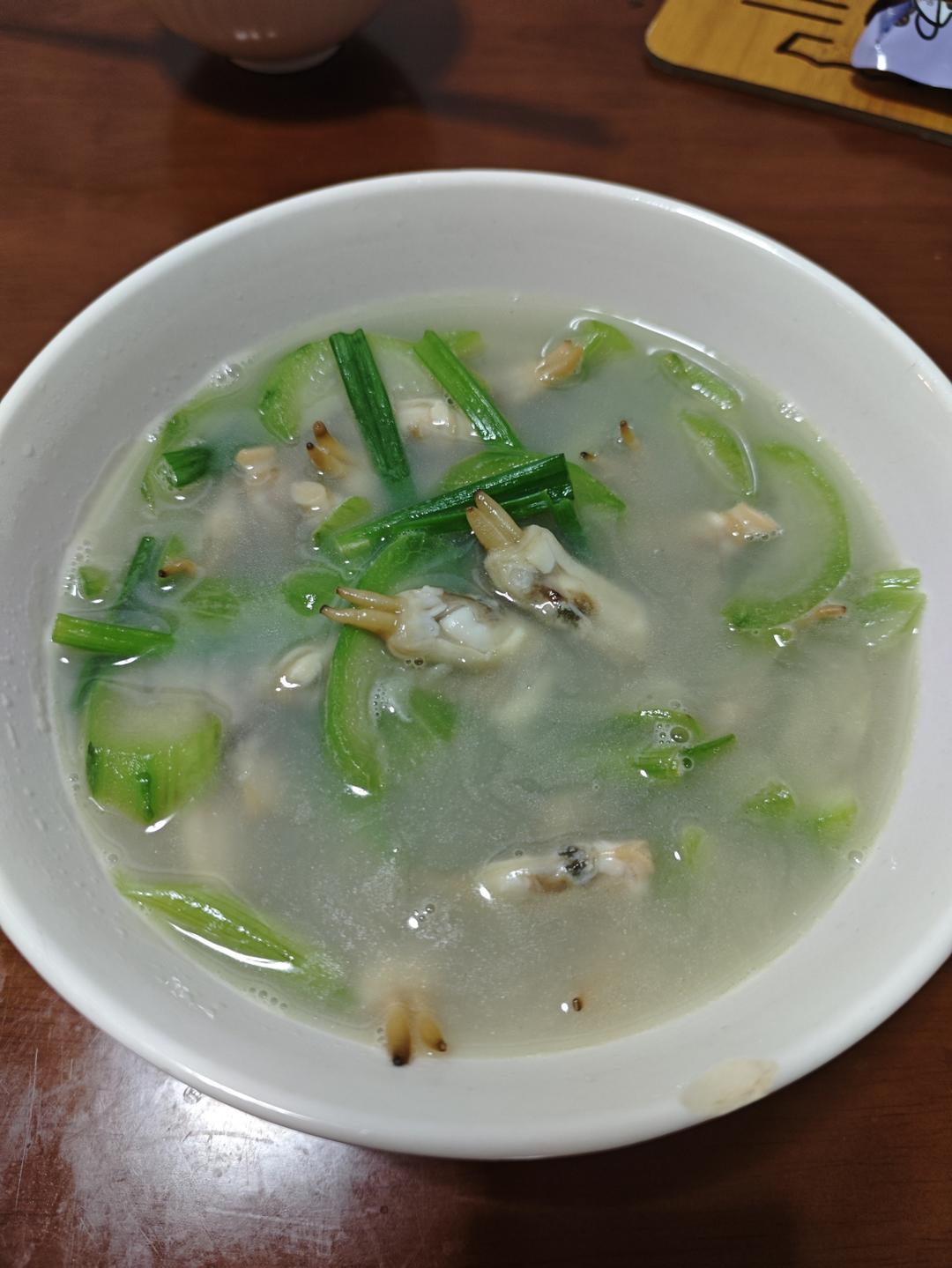 6月就要吃鲜掉眉毛的丝瓜蛏子-前蛏似锦