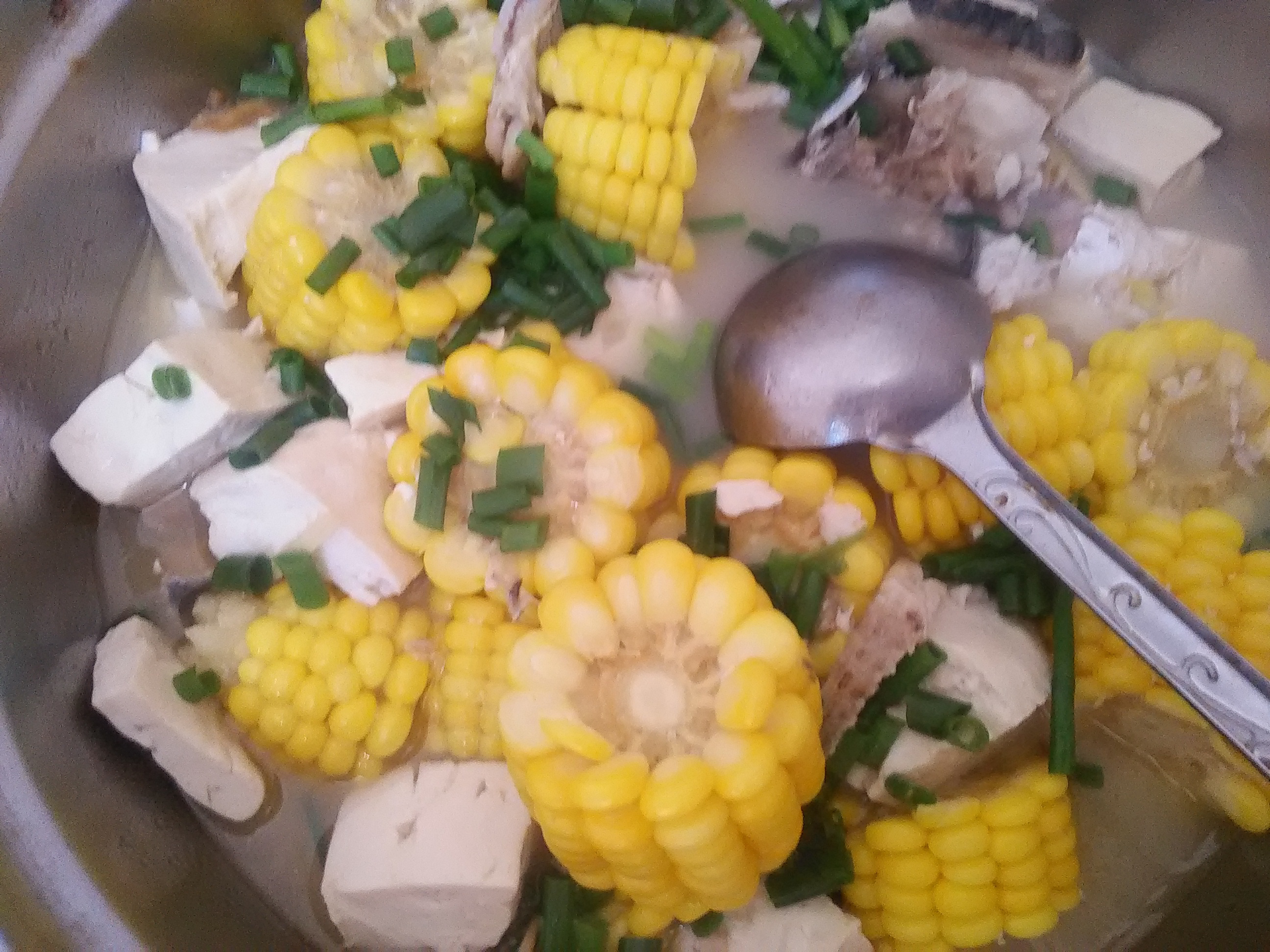 玉米鱼头豆腐汤