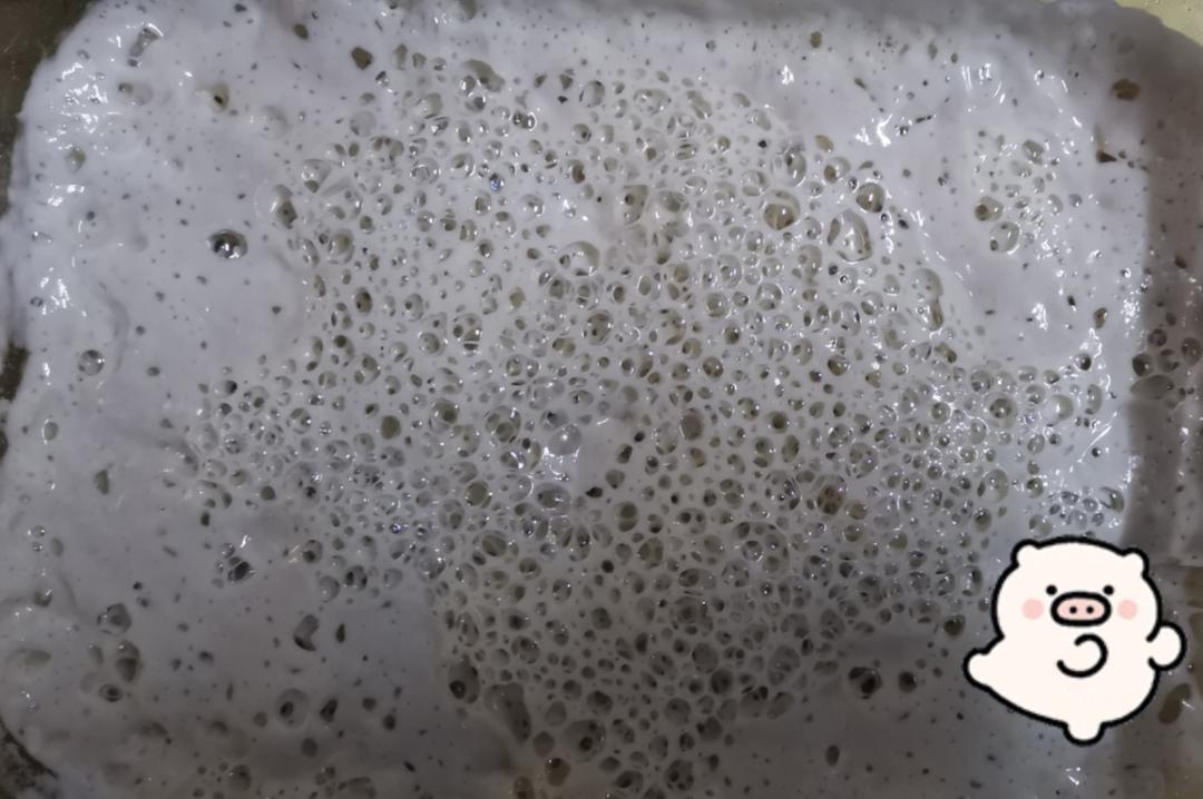 天然酵种、鲁邦种         （黑裸麦起种）