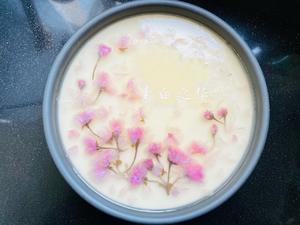 樱花🌸冻芝士蛋糕的做法 步骤18