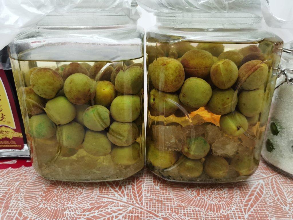 【青梅酒】梅子的沉醉时光（已填坑）