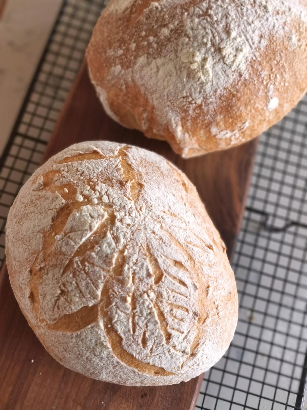 鲁邦种冷藏隔夜法恰巴塔Ciabatta（练习记录）