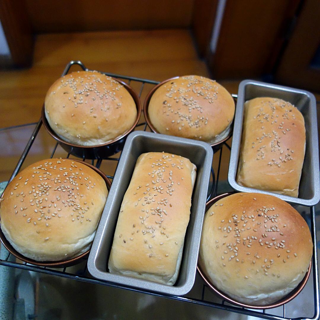 汉堡胚 poolish（波兰种）