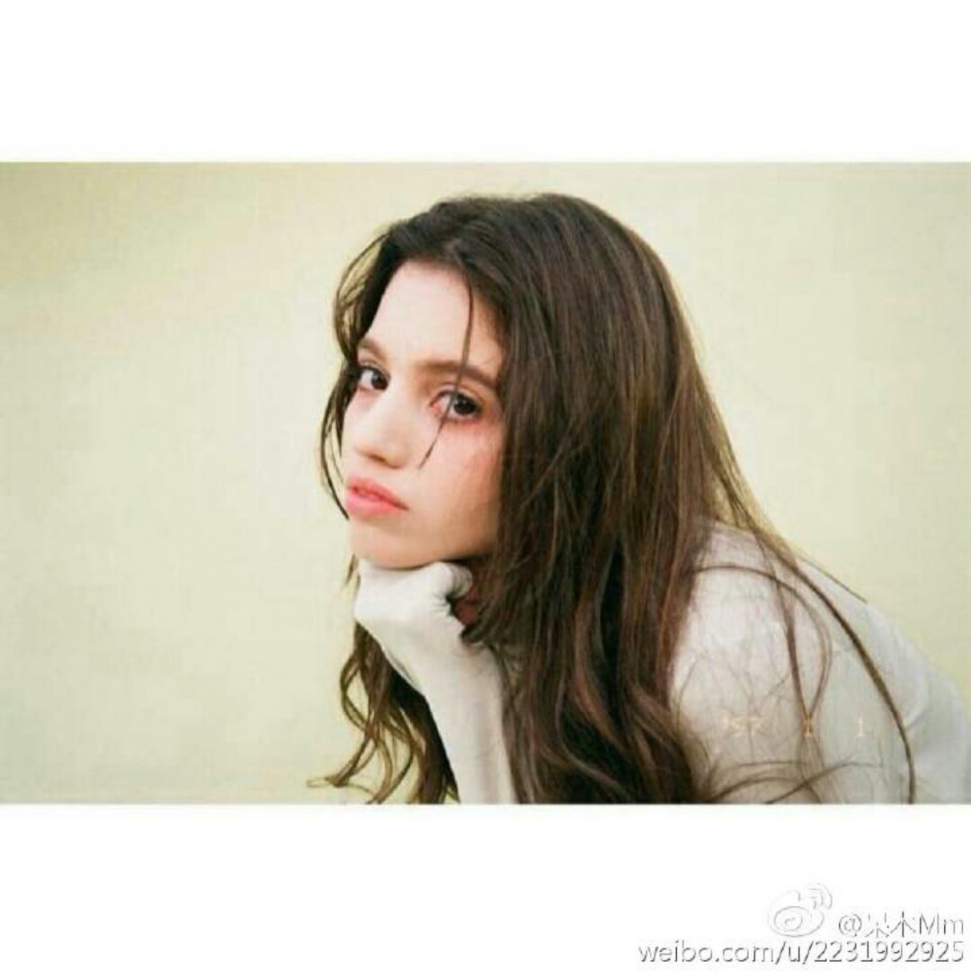 shel-