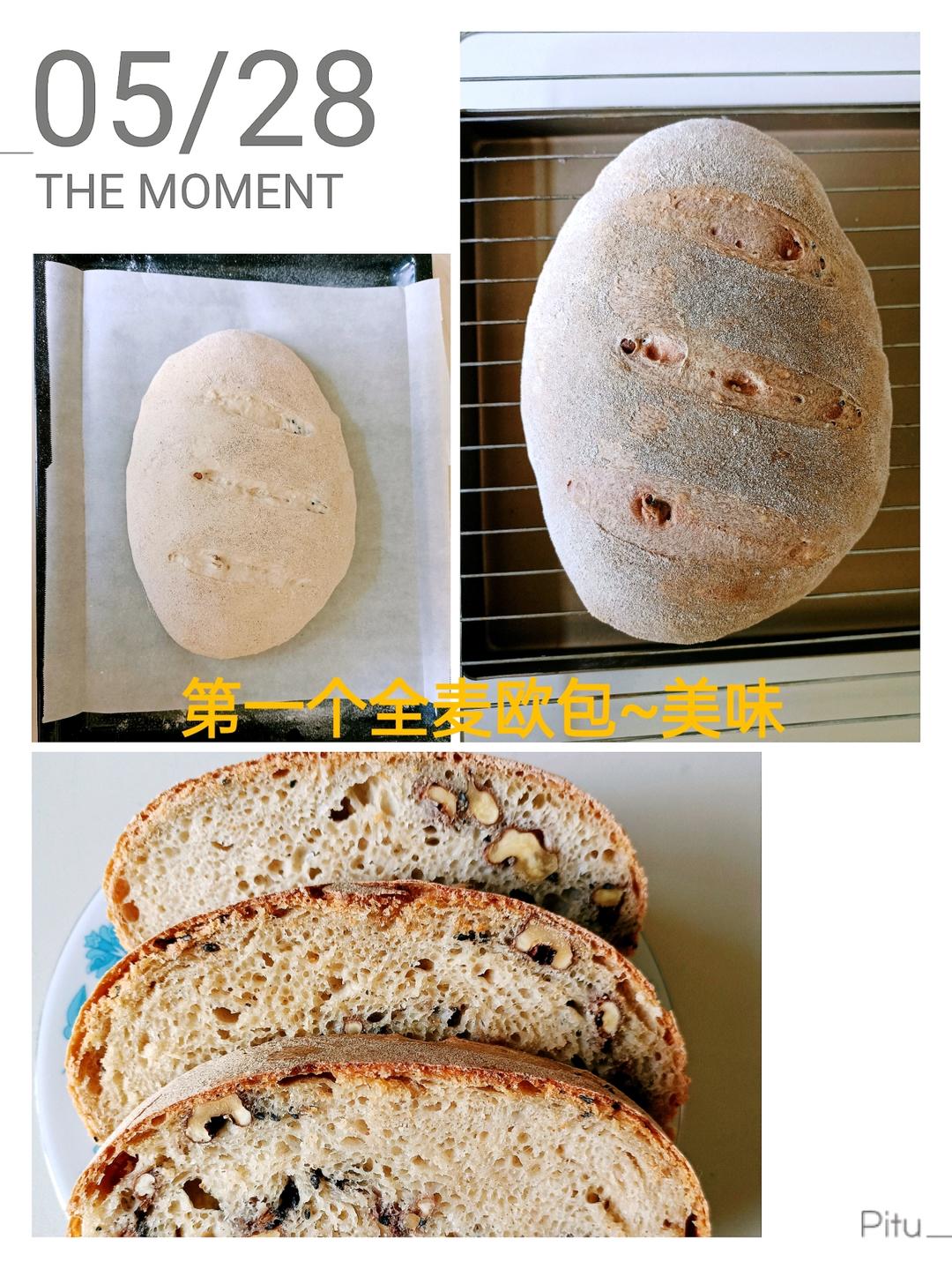 新手也能学会的全麦乡村欧包