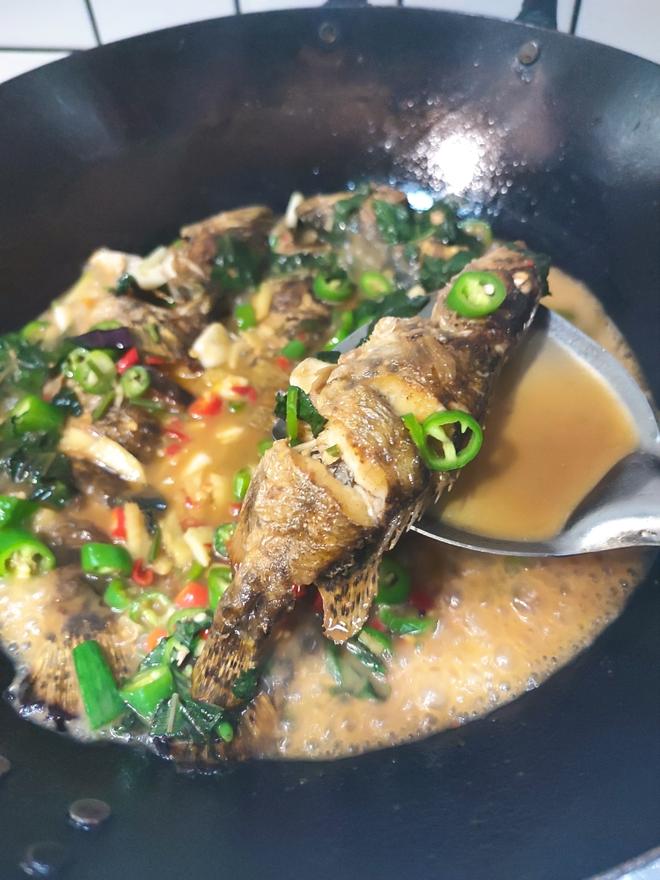 干锅红烧鳜鱼的做法