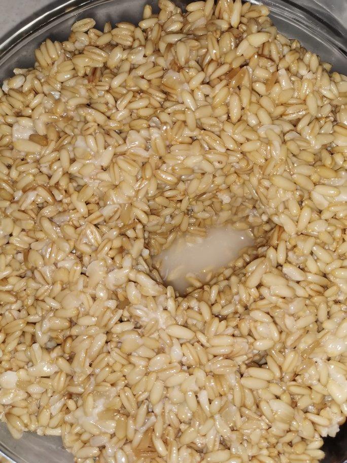 阿狸叭咪做的燕麦甜醅子