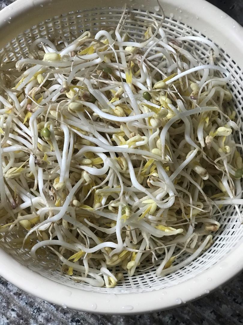 沥水篮发豆芽