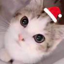 月月的脑子被吃了