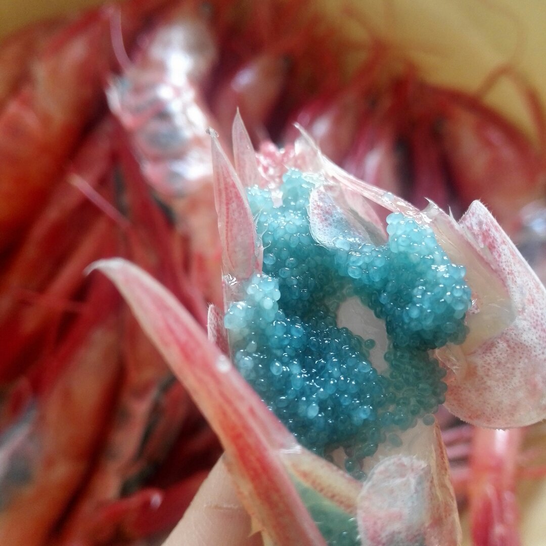 甜虾