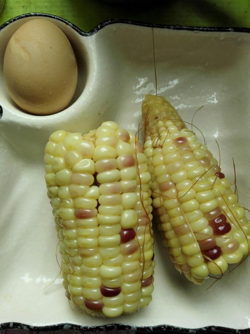 柑果果vc做的早餐马拉松顺利收官:因为坚持,所以更好!