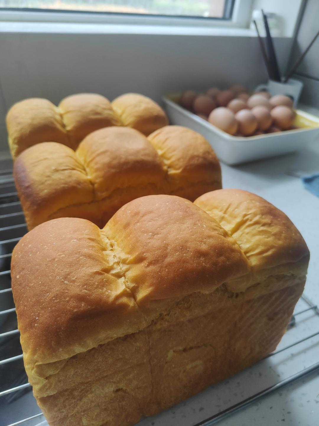 玉米油版一次性发酵吐司