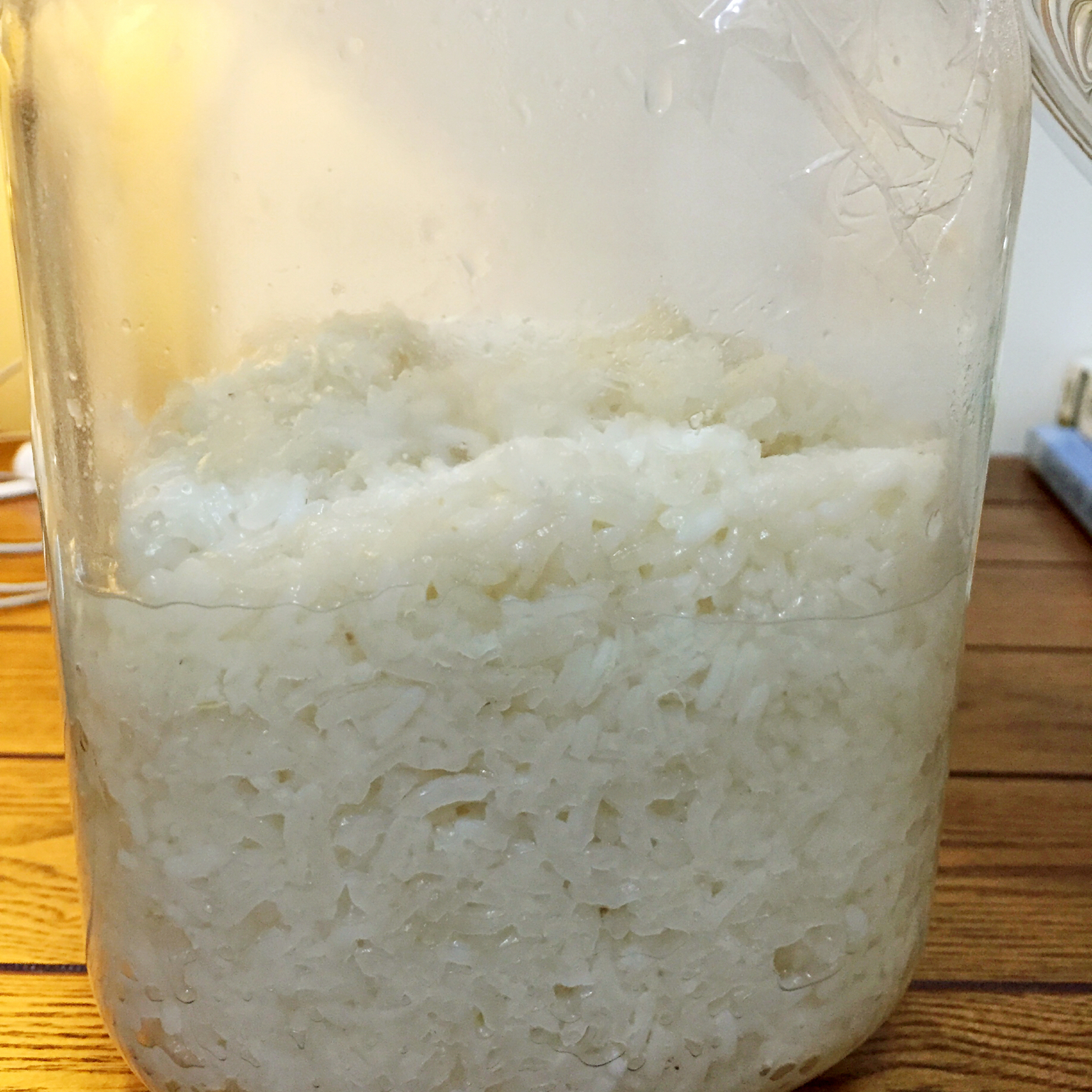 甜酒酿（秘诀版）